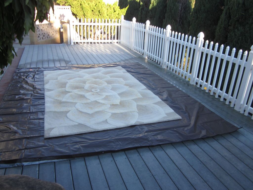 How to properly pit wash a wool rug, urine stained. Page 2